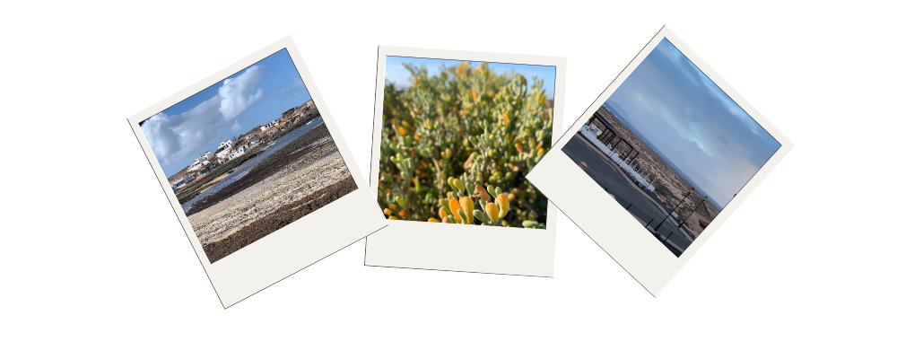 mein persönlicher Rückblick