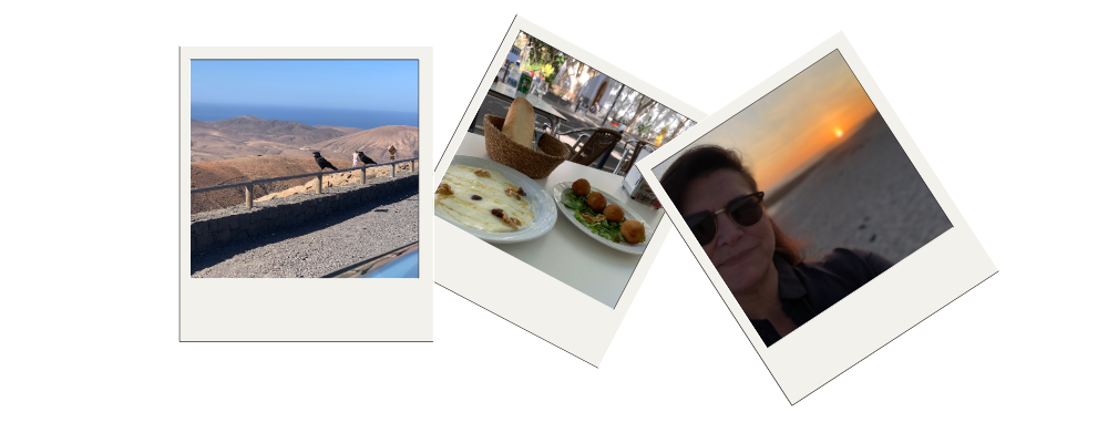 mein persönlicher Rückblick