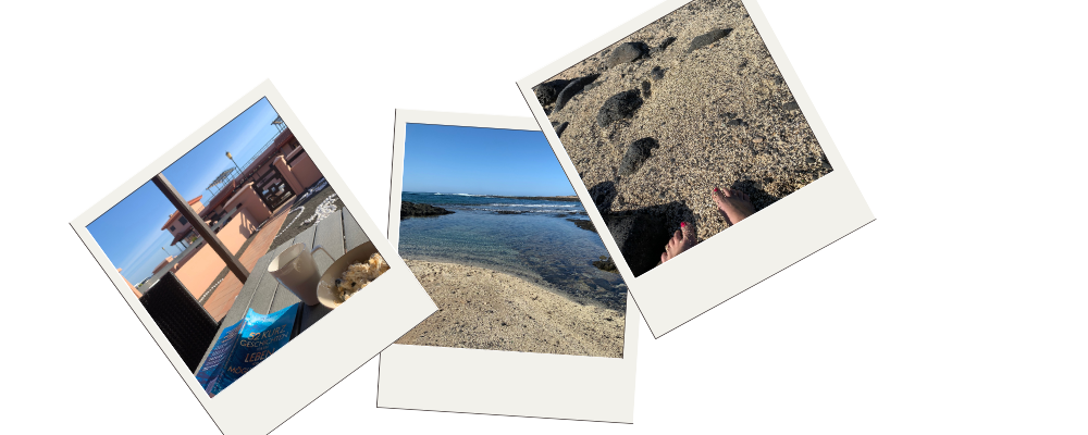 mein persönlicher Rückblick